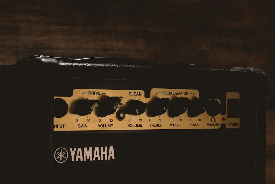 TOPPING L30 vs L50 Amplifier Comparison Tested