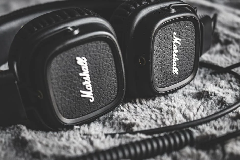 amplifiers product image